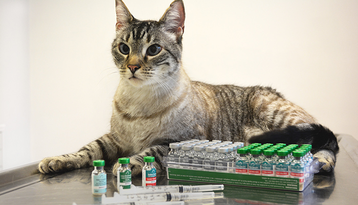 Merial store cat vaccines